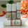 Tinted Lip Balm - 5ML