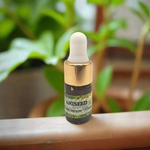 Aniseed