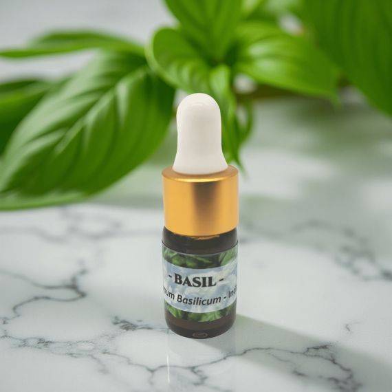 Basil