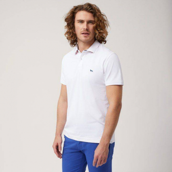 U.S polo sneakers