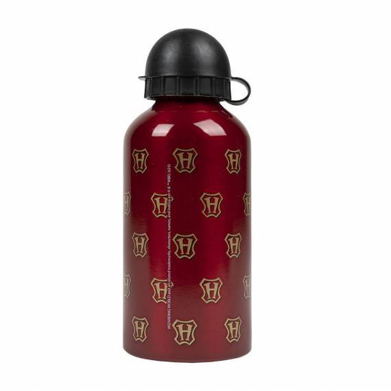 Harry Potter Aluminum Bottle