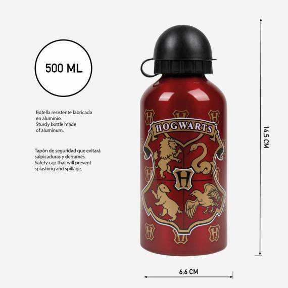 Harry Potter Aluminum Bottle