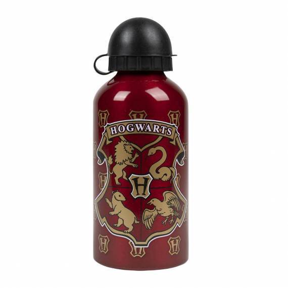 Harry Potter Aluminum Bottle